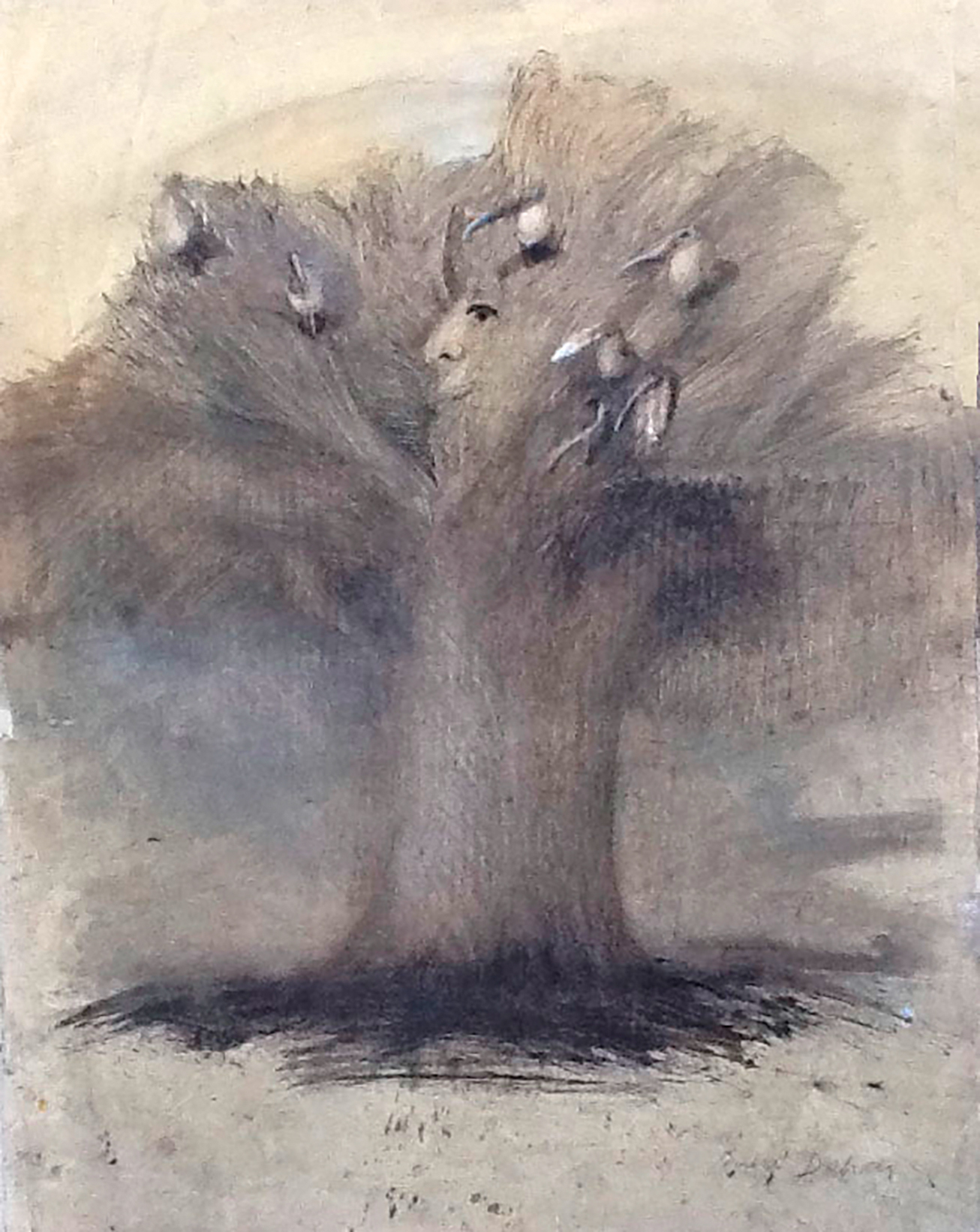 L'arbre grand-père