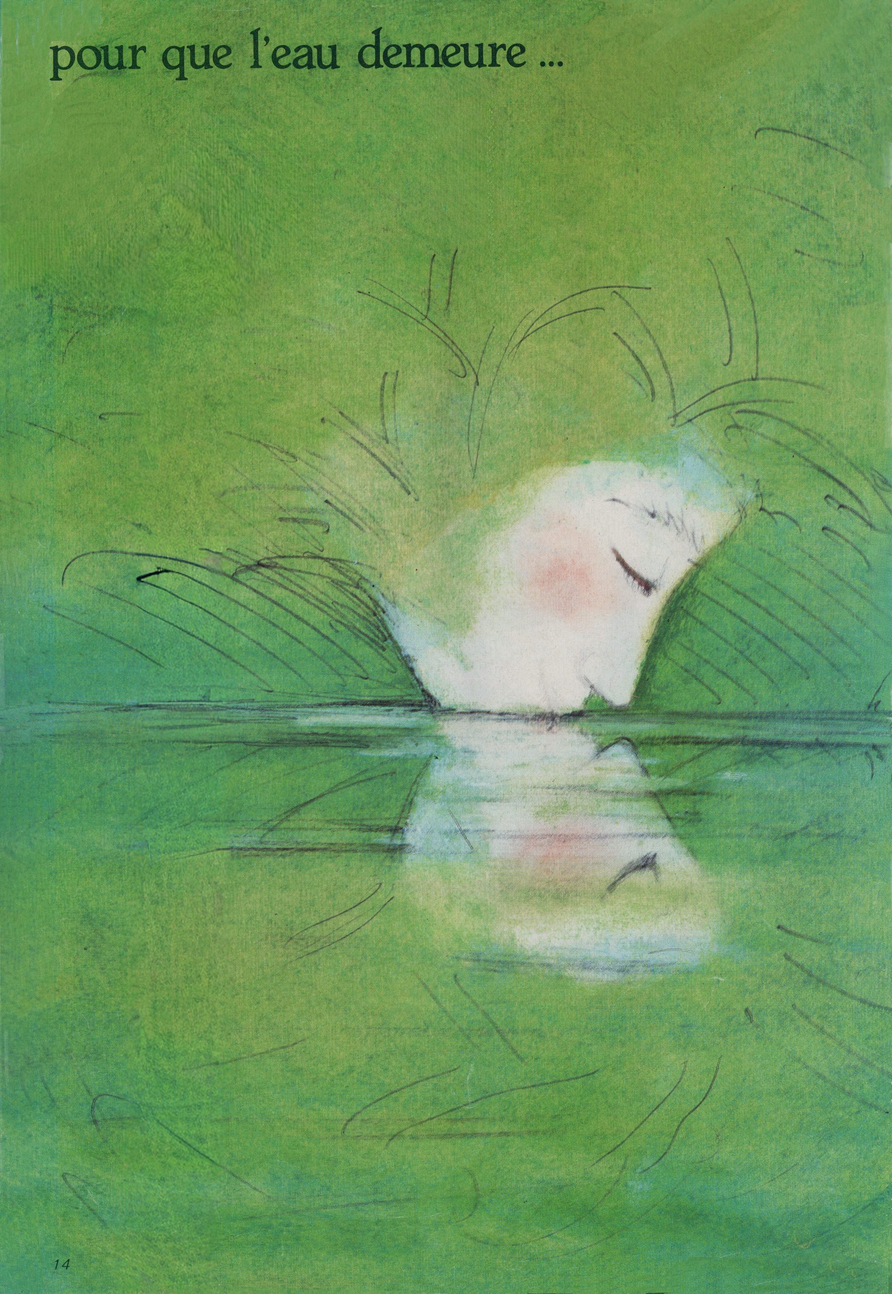 l'eau